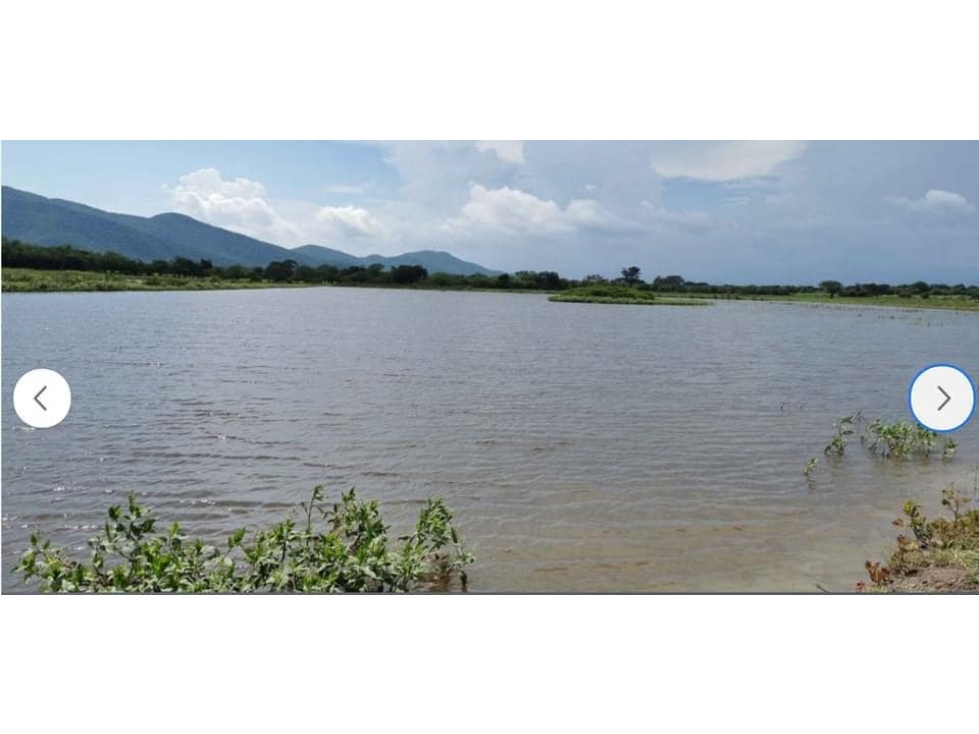 EN VENTA RANCHO DE 28.8 HECTAREAS A PIE DE CARRETERA EN TICUISTAN - 5