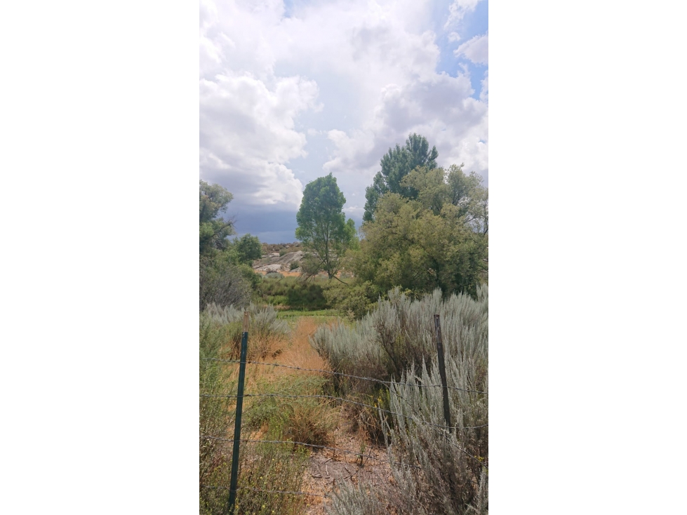TERRENO EN VENTA AL COSTADO DE LA CIENEGA REDONDA TECATE USD$6.00 XM2 - 5