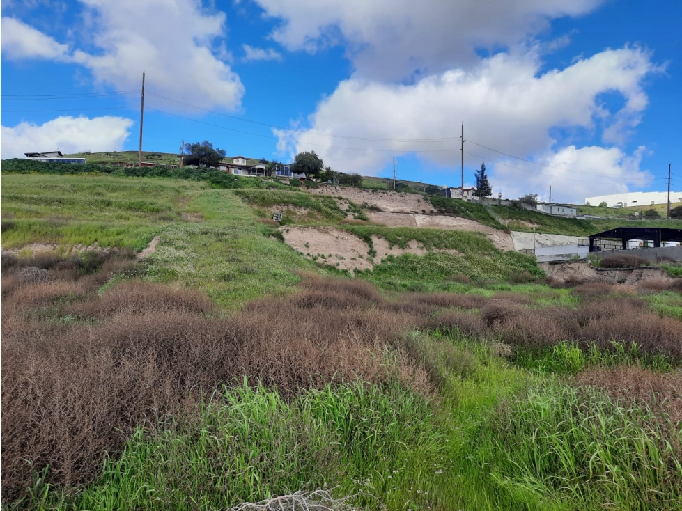 REMATO TERRENO DE 3320 M2, SU PRECIO ES LO MEJOR 125 DLS POR m2 - 5
