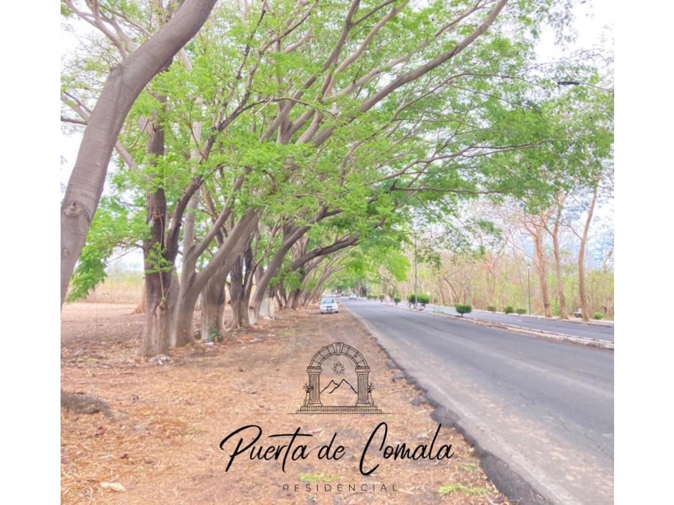 TERRENO REGULAR EN VENTA EN FRACCIONAMIENTO PUERTA DE COMALA COLIMA - 5
