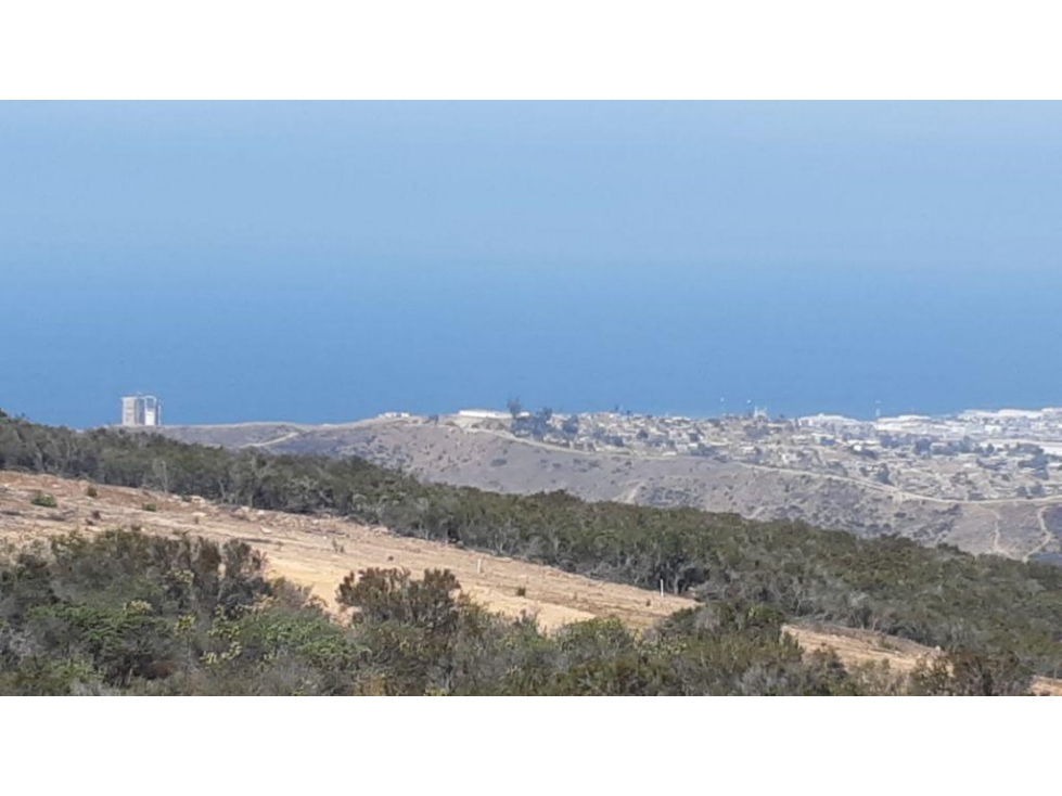 TERRENO EN VENTA EN EL SAUZAL ENSENADA DE 1.45 HECTAREAS — foto 5