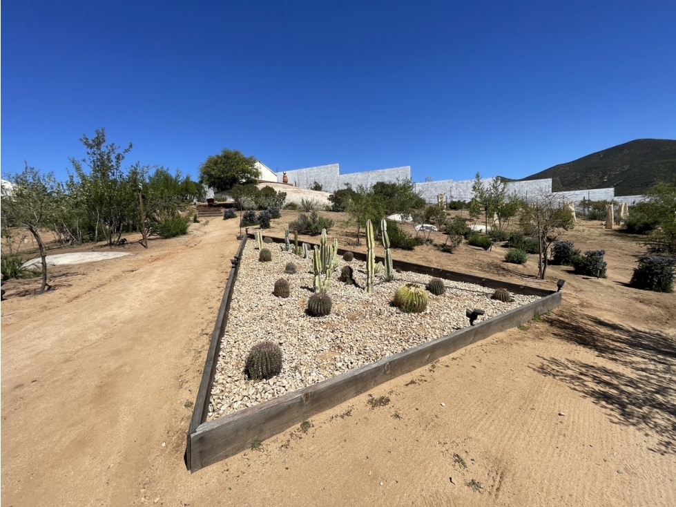 Investment Opportunity Glamping Boutique Hotel for Sale Valle de Gpe. - 5