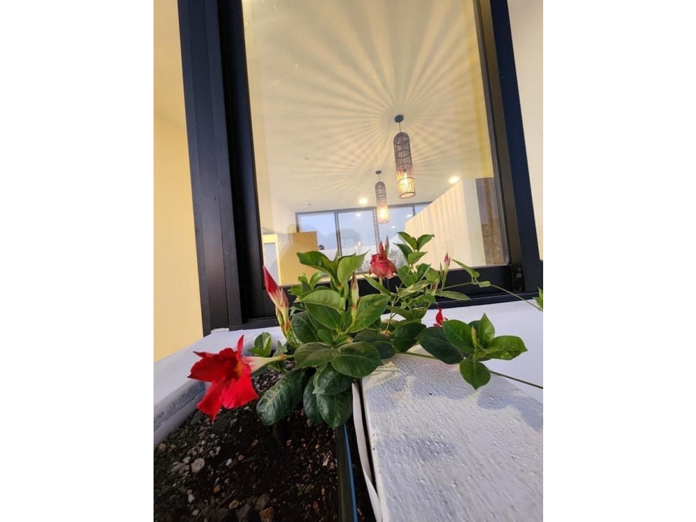 VENTA DE OPORTUNIDAD CASA JARDIN REGINA — foto 5