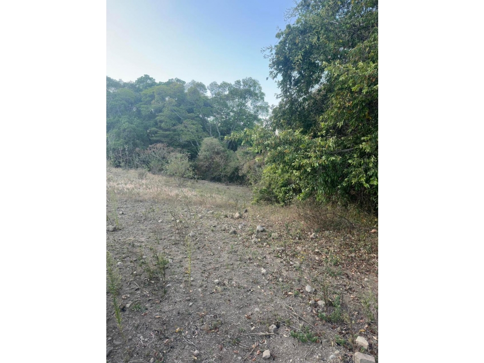 EN VENTA 3 HECTAREAS EN EL CAMPANARIO ALCARACES, COLIMA - 5
