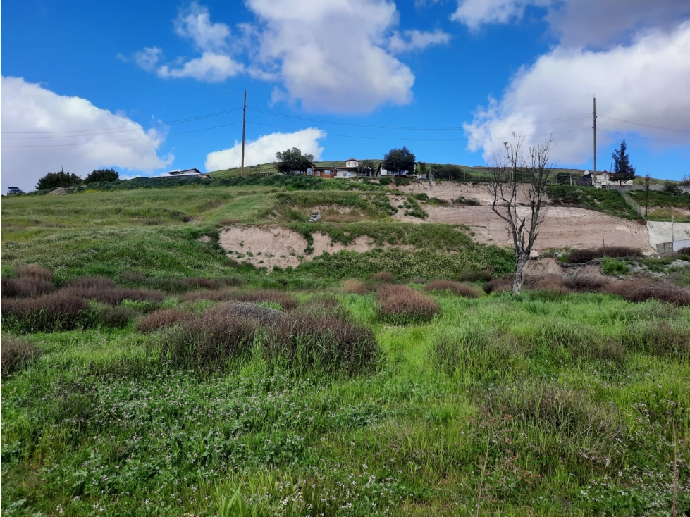 REMATO TERRENO DE 3320 M2, SU PRECIO ES LO MEJOR 125 DLS POR m2 - 6