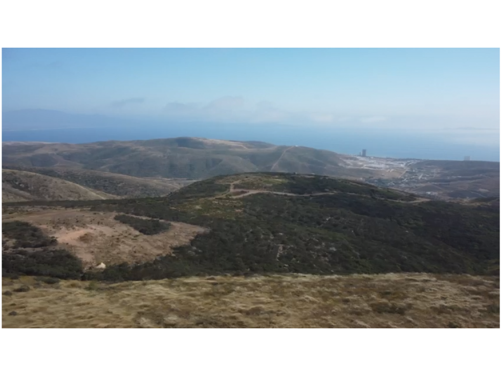 TERRENO EN VENTA EN EL SAUZAL ENSENADA DE 1.45 HECTAREAS — foto 6