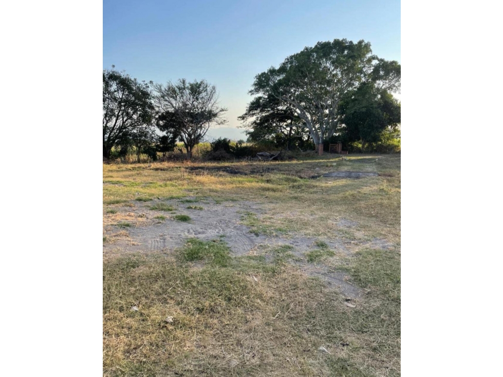EN VENTA 3 HECTAREAS EN EL CAMPANARIO ALCARACES, COLIMA - 6