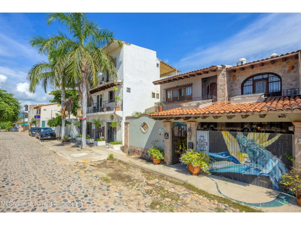 CASA IGUANA EN VENTA EN EL CORAZON DE LA ZONA DORADA BUCERIAS - 6
