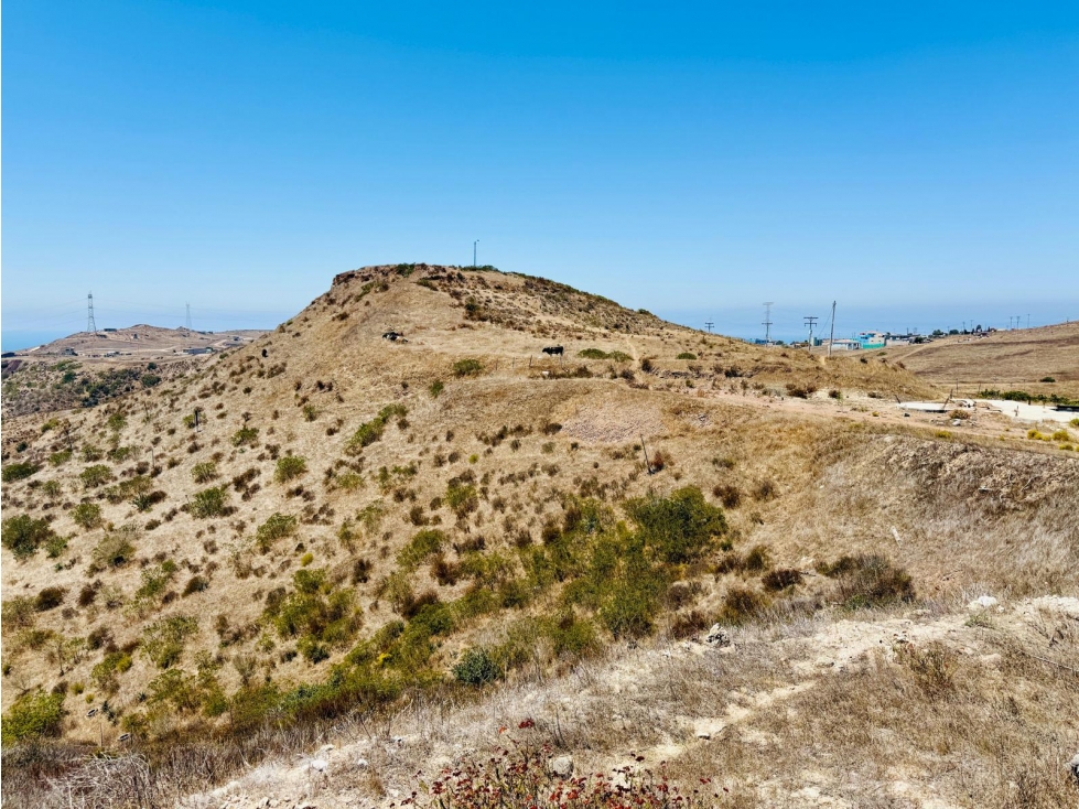 VENTA DE TERRENO DE 3 HECTAREAS EN RANCHO EL GATO PLAYAS DE ROSARITO - 6