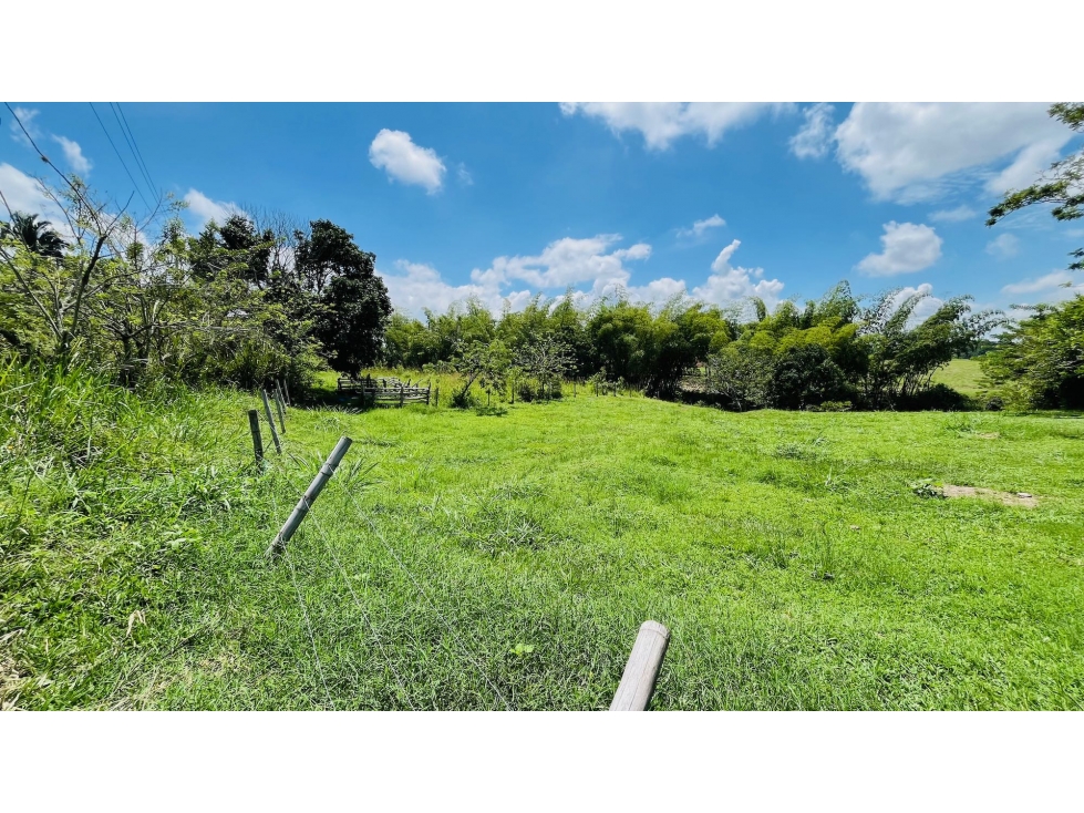 VENTA LOTE CAMPESTRE (PLANO) FUERA DE CONDOMINIO LA CARMELITA CERRITOS — foto 6