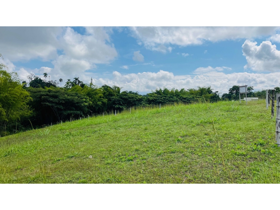 VENTA DE ESPECTACULAR LOTE CAMPESTRE SECTOR CERRITOS-VIRGINIA