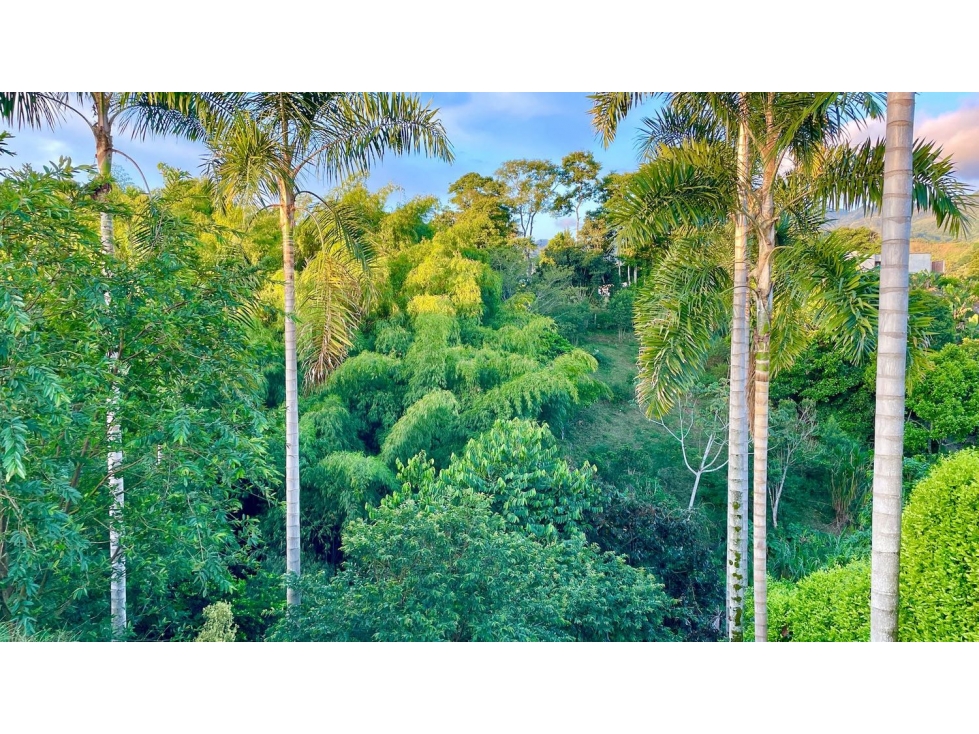 VENTA DE ESPECTACULAR LOTE CAMPESTRE SECTOR COMBIA-PEREIRA — foto 4