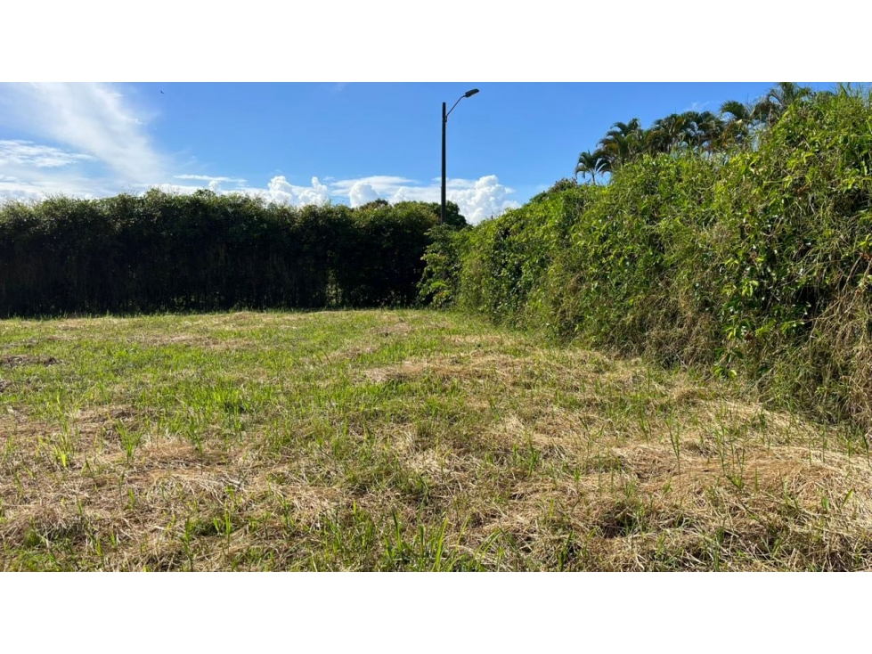 VENTA DE LOTE ESQUINERO COMPLETAMENTE PLANO SECTOR CERRITOS PEREIRA — foto 4
