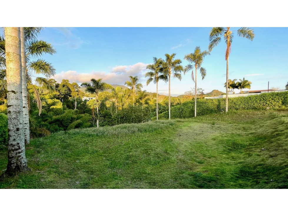 VENTA DE ESPECTACULAR LOTE CAMPESTRE SECTOR COMBIA-PEREIRA — foto 5
