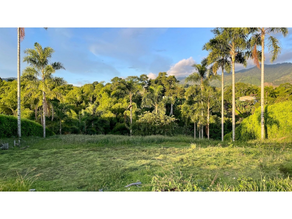 VENTA DE ESPECTACULAR LOTE CAMPESTRE SECTOR COMBIA-PEREIRA — foto 6