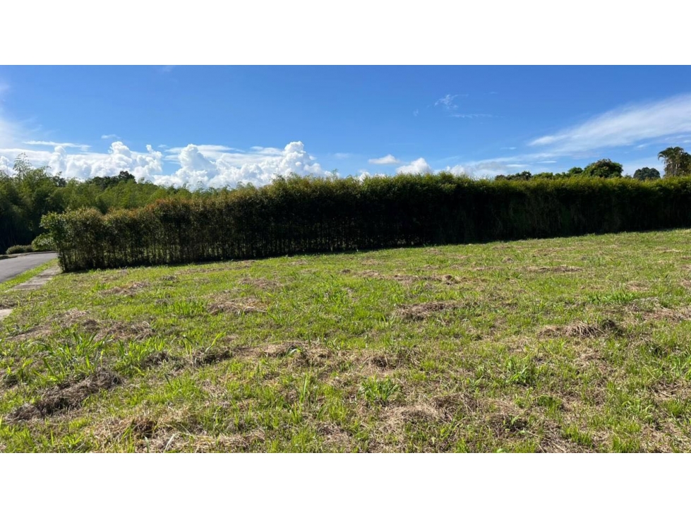 VENTA DE LOTE ESQUINERO COMPLETAMENTE PLANO SECTOR CERRITOS PEREIRA — foto 6