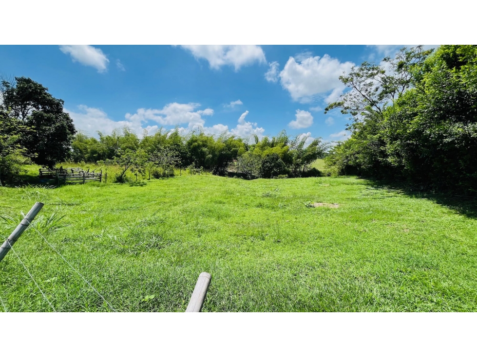 VENTA LOTE CAMPESTRE (PLANO) FUERA DE CONDOMINIO LA CARMELITA CERRITOS — foto 4