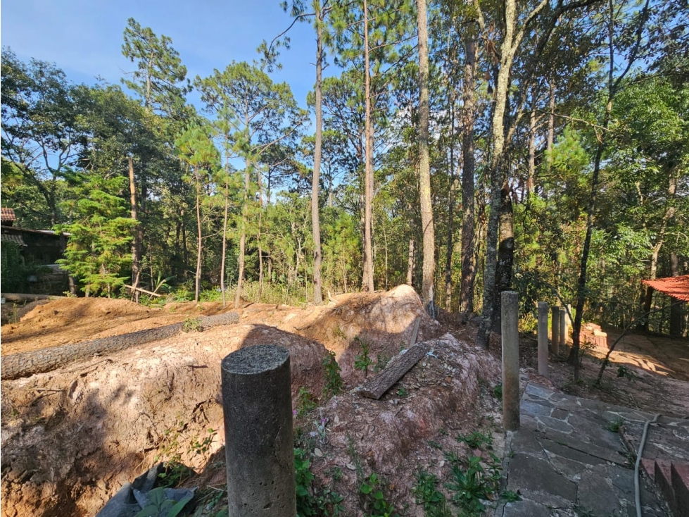 Bonito terreno en zona de bosque con materiales de construccion - 6
