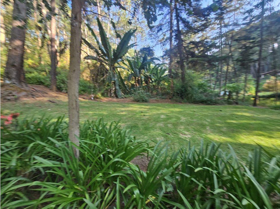 Bonita cabaña en venta en zona de bosque de mazamitla jalisco - 2