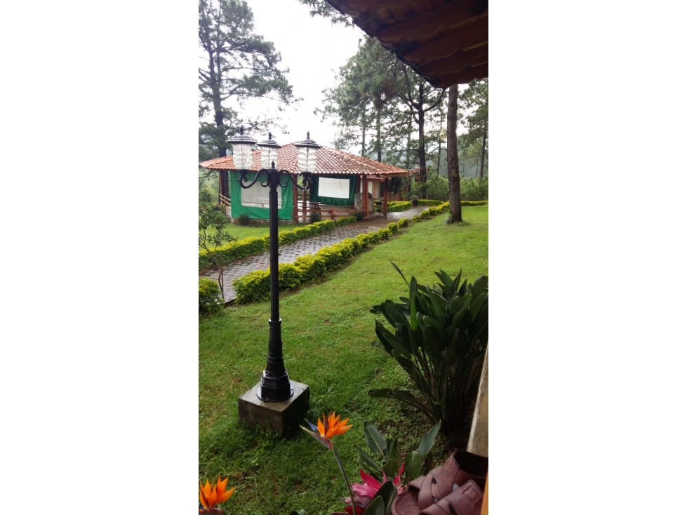 Bonita cabaña con terreno de 4000 m2 en venta en mazamitla jalisco - 6