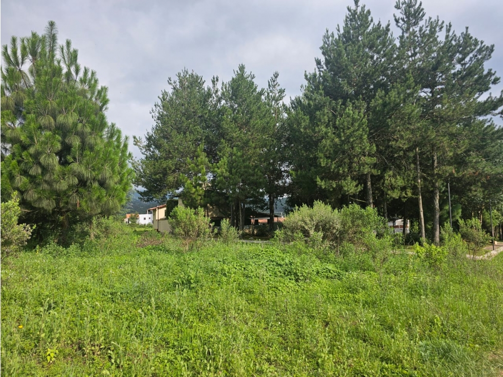 Bonito terreno en zona céntrica de mazamitla, jalisco - 4