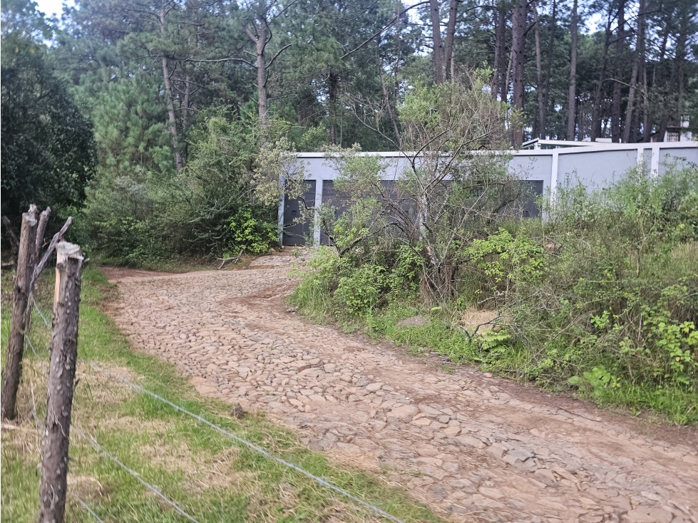 TERRENO EN VENTA EN MAZAMITLA | RODEADO DE BOSQUE - 2