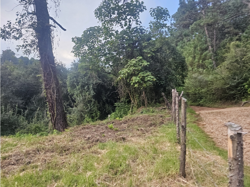 TERRENO EN VENTA EN MAZAMITLA | RODEADO DE BOSQUE - 3