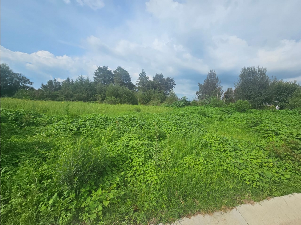 Bonito terreno en zona céntrica de mazamitla, jalisco - 5
