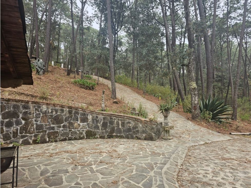 Bonita cabaña en zona de bosque de mazamitla jalisco - 4