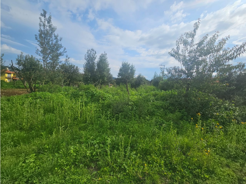 Bonito terreno en zona céntrica de mazamitla, jalisco - 6
