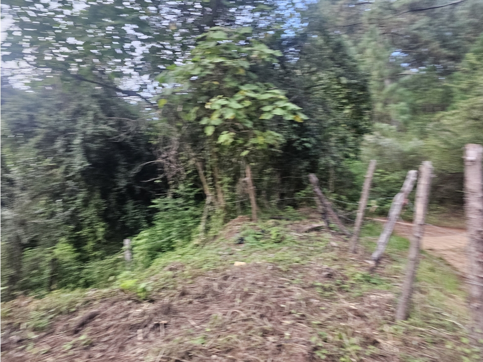TERRENO EN VENTA EN MAZAMITLA | RODEADO DE BOSQUE - 5