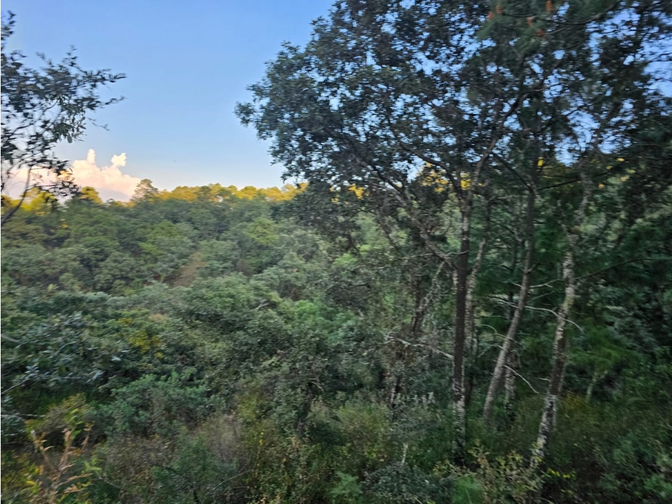 Bonito terreno en zona de bosque de mazamitla jalisco - 2