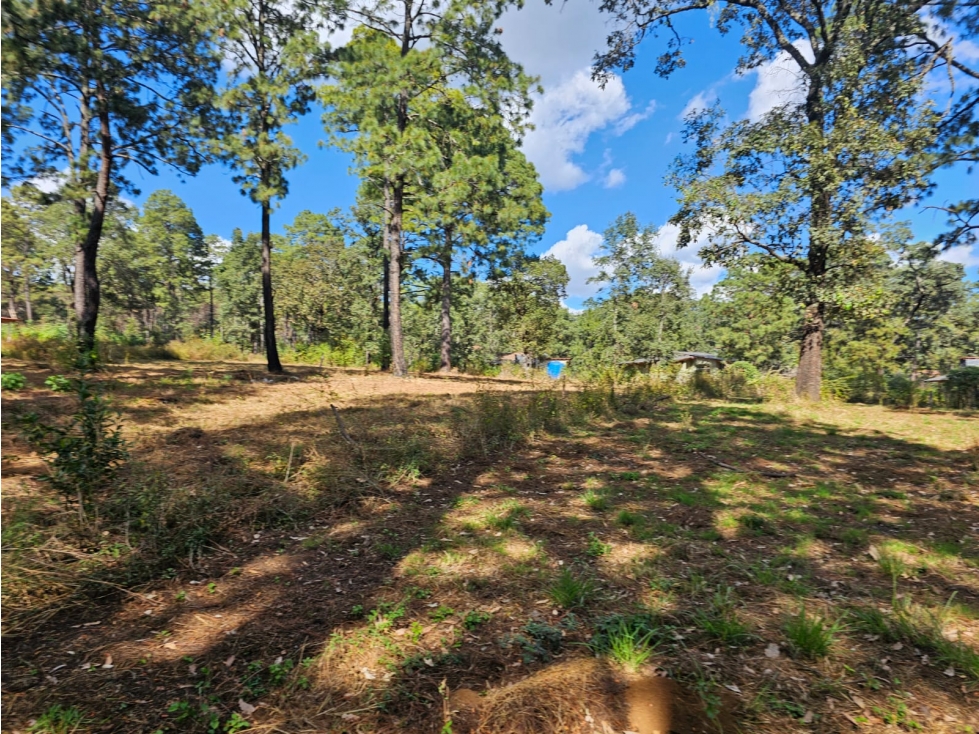 TERRENO EN VENTA EN MAZAMITLA | INVERSIÓN EN ZONA DE BOSQUE - 2