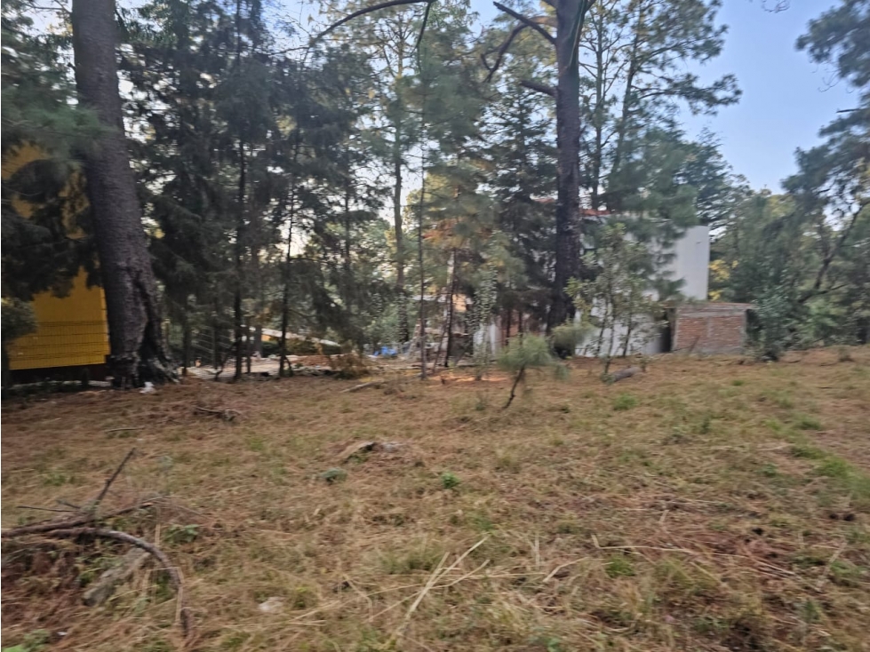 Bonito terreno en zona de bosque de mazamitla jalisco - 2