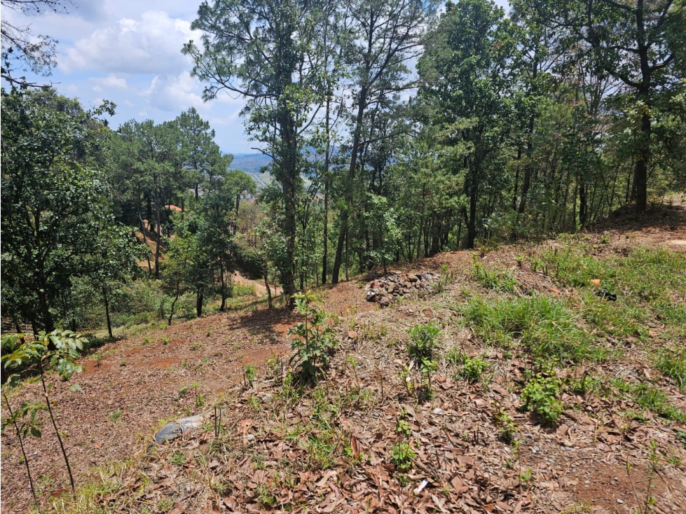 Bonito terreno en zona de bosque de mazamitla jalisco - 2