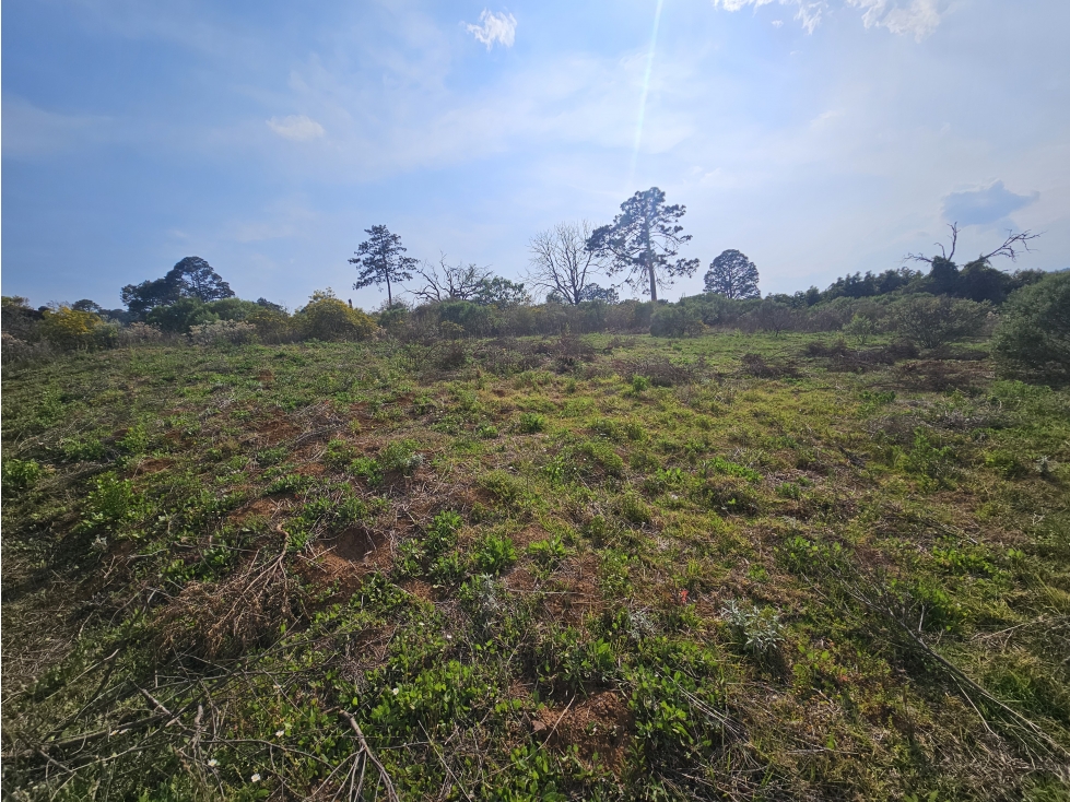 Terreno centrico con vista al bosque de Mazamitla jalisco - 2