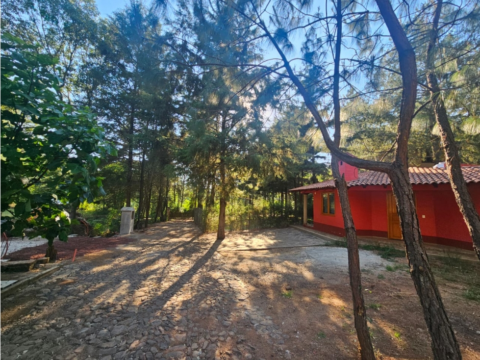 Hermoso terreno en zona centrica de mazamitla con vista al bosque - 3
