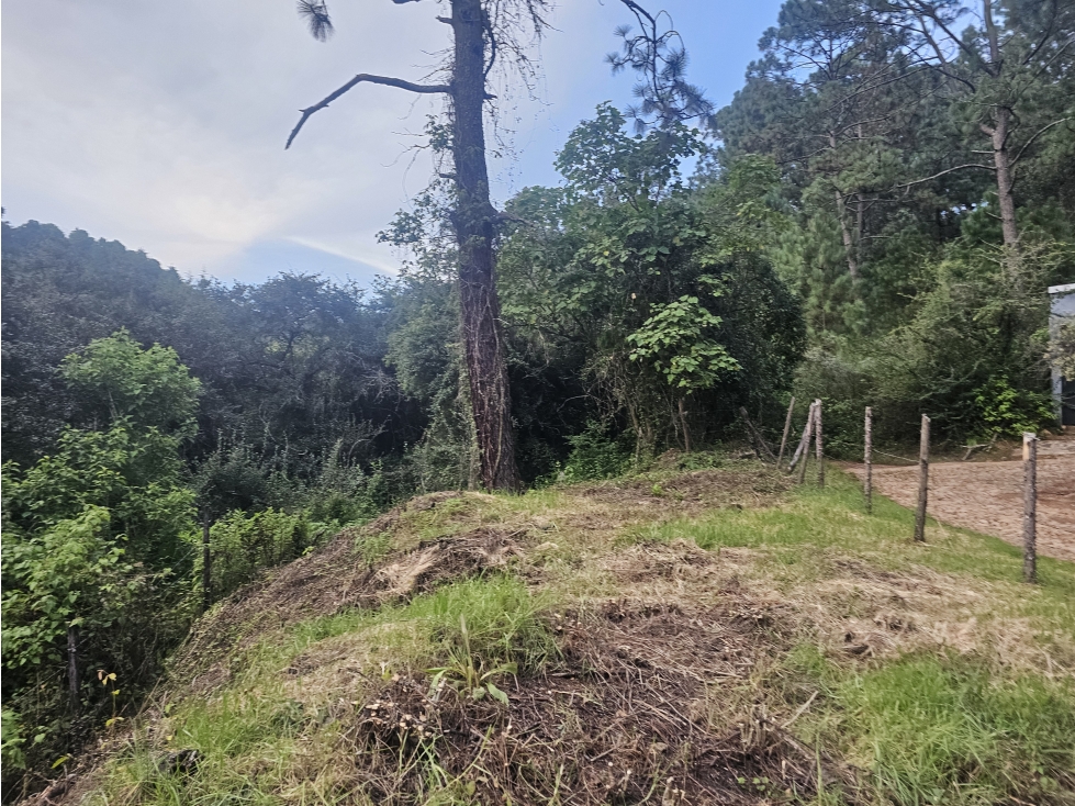 TERRENO EN VENTA EN MAZAMITLA | RODEADO DE BOSQUE - 6