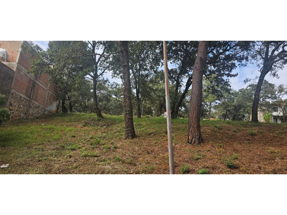 CABAÑA RÚSTICA NUEVA EN VENTA EN MAZAMITLA | VISTA AL BOSQUE - 4