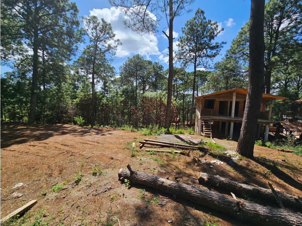 Bonita cabaña para remodelación enmazamitla, Jalisco - 6