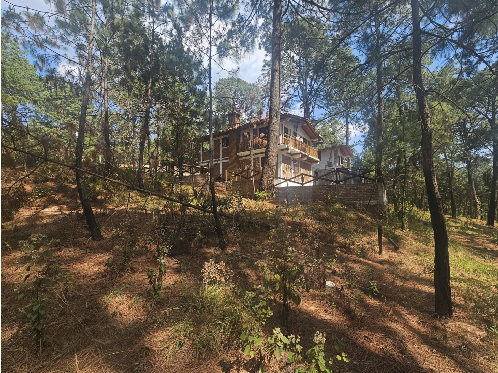 Hermoso Terreno en el Bosque de Mazamitla, Jalisco - 1