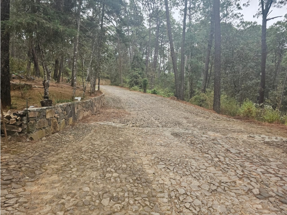 Bonita cabaña en zona de bosque de mazamitla jalisco - 5