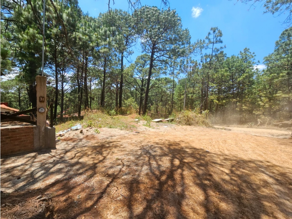 Hermoso Terreno en el Bosque de Mazamitla, Jalisco - 3