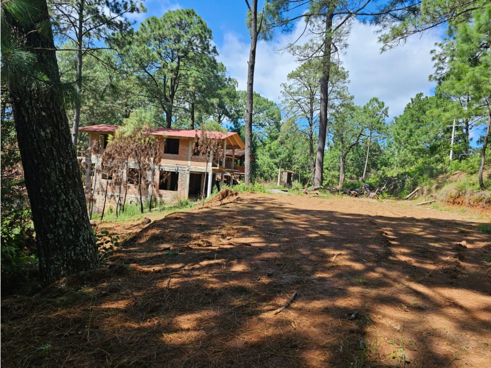 Terreno céntrico en el bosque de mazamitla - 1
