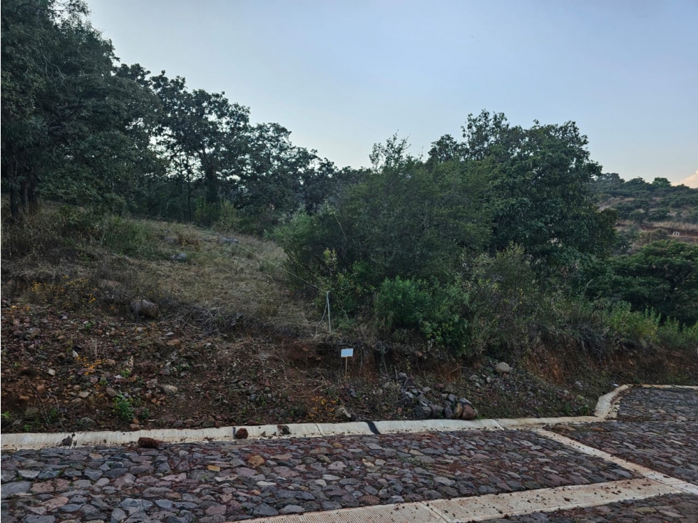 Bonito terreno en zona de bosque de mazamitla jalisco - 3