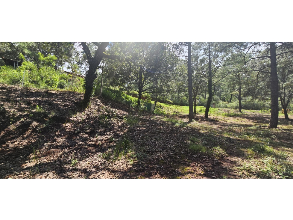 Bonito terreno en zona de bosque de mazamitla jalisco - 3