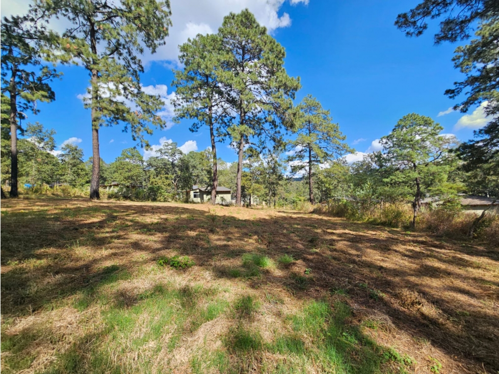 TERRENO EN VENTA EN MAZAMITLA | INVERSIÓN EN ZONA DE BOSQUE - 3