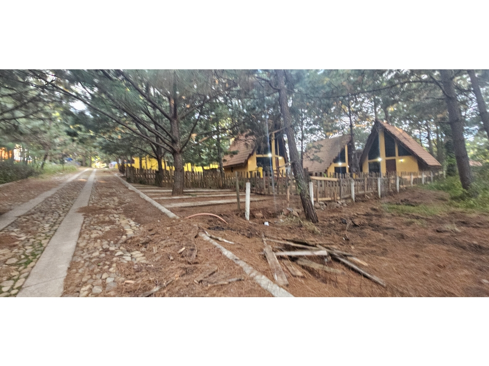 Bonito terreno en zona de bosque de mazamitla jalisco - 2