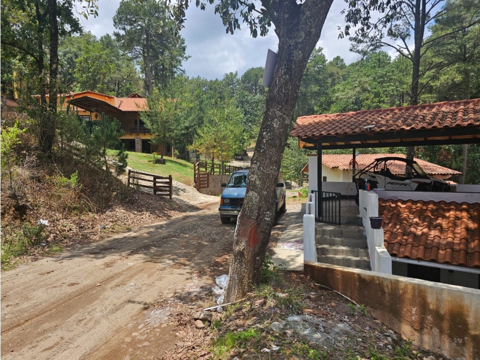 Bonito terreno en zona de bosque de mazamitla jalisco - 3