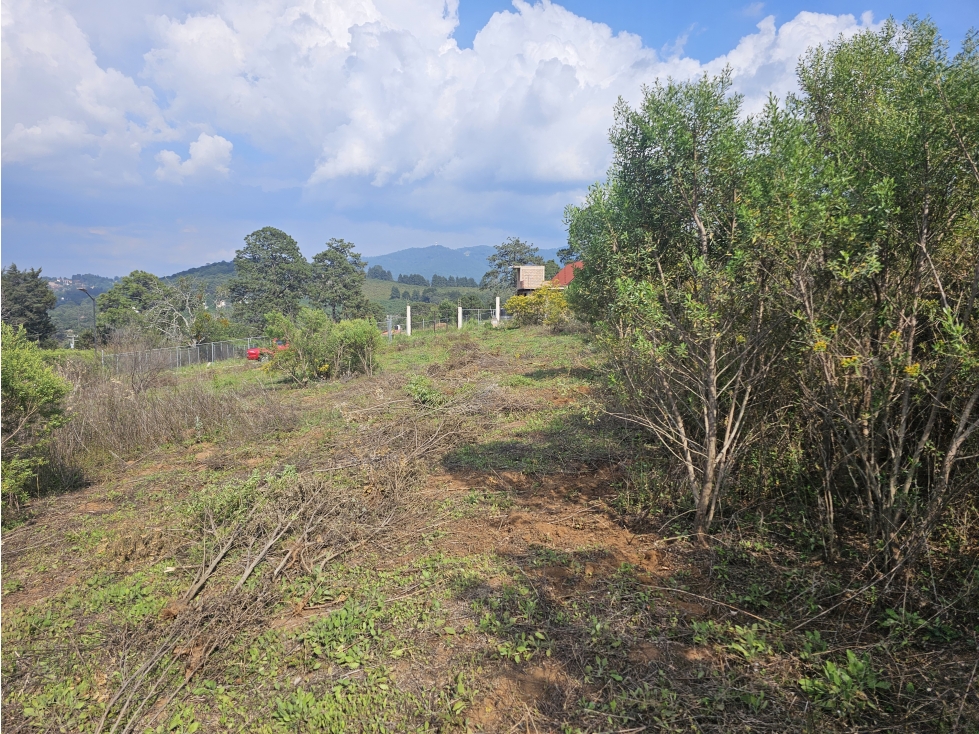 Terreno centrico con vista al bosque de Mazamitla jalisco - 3